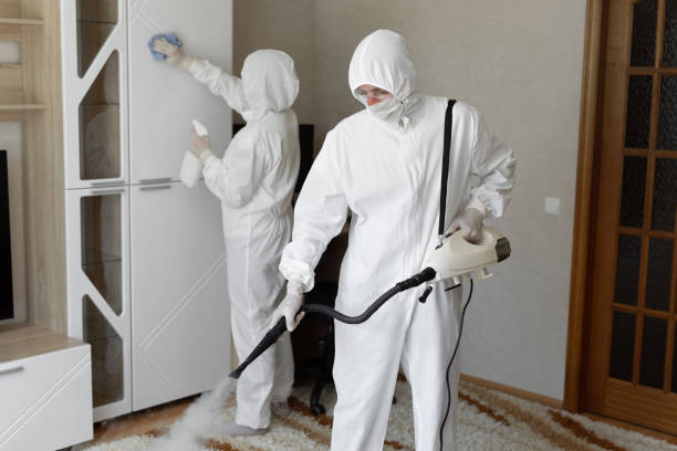 Best Black Mold Remediation in Moraga, CA