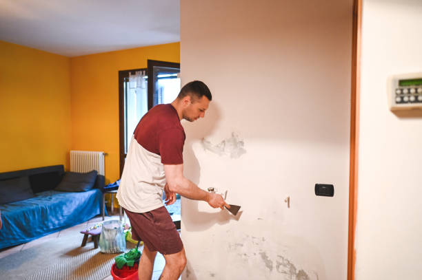 Reliable Moraga, CA Mold Remediation Solutions